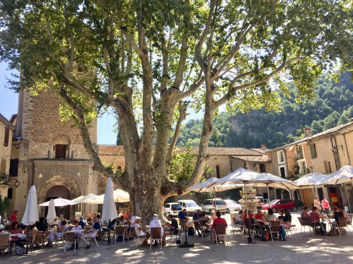 Charmante Maison A Saint Guilhem Le Desert Exteriér fotografie
