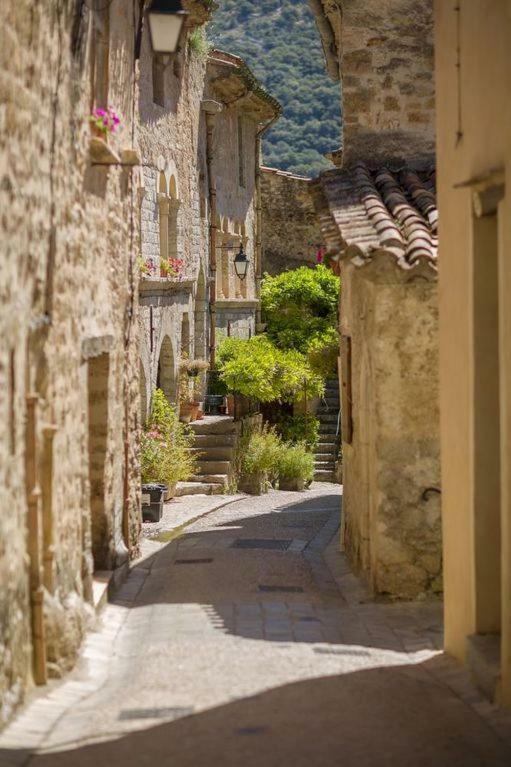 Charmante Maison A Saint Guilhem Le Desert Exteriér fotografie